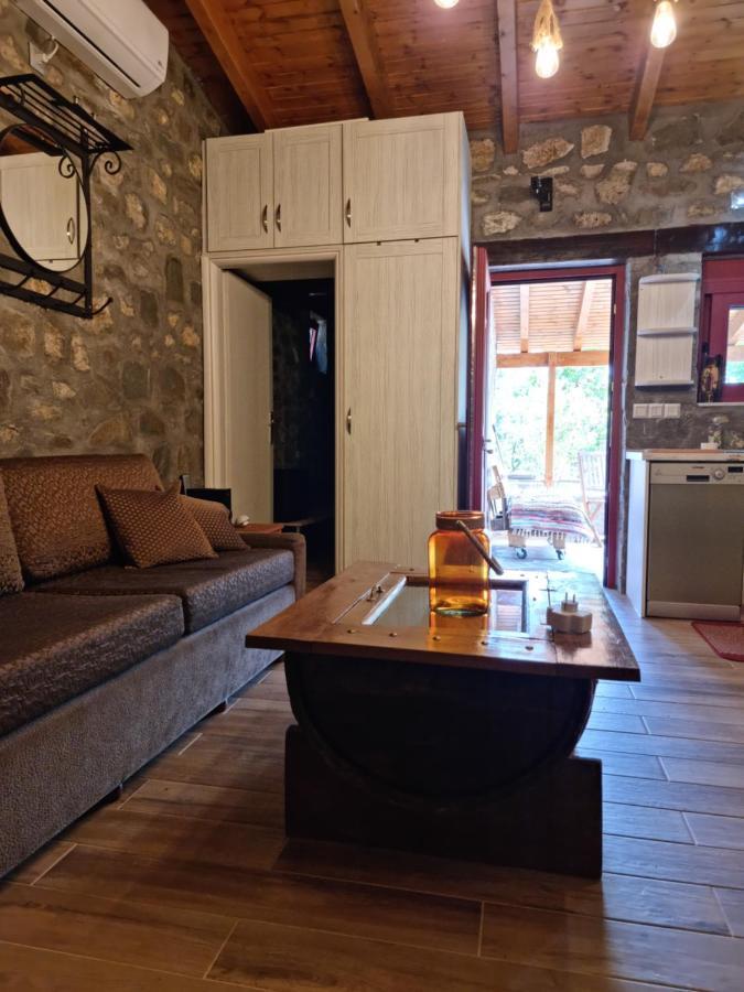 House With Big Garden And Barbeque In Nature Vourgareli Exterior foto