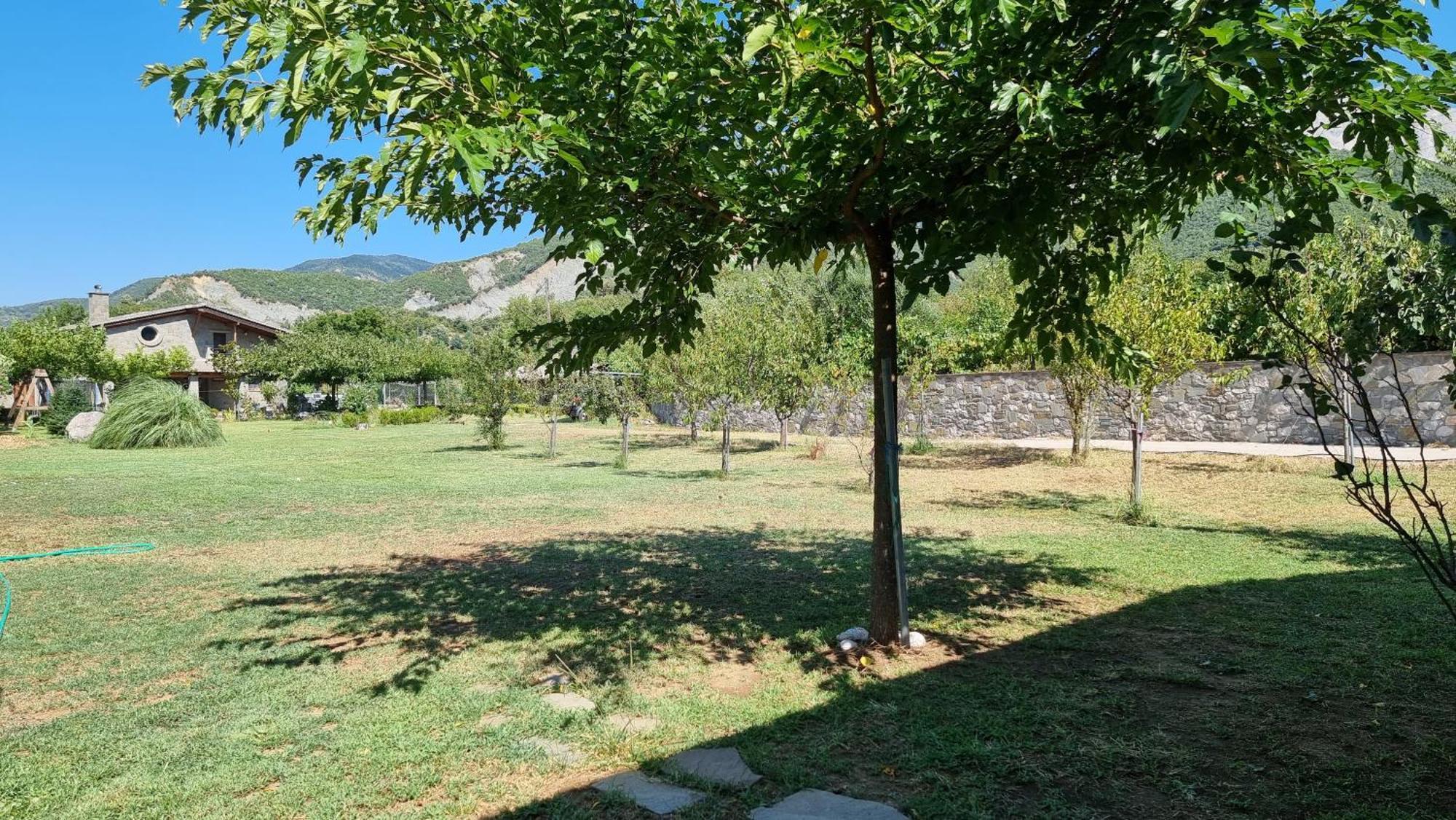 House With Big Garden And Barbeque In Nature Vourgareli Exterior foto